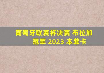 葡萄牙联赛杯决赛 布拉加 冠军 2023 本菲卡